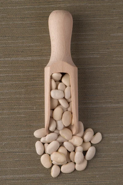 Wooden scoop with white beans — Stock Photo, Image