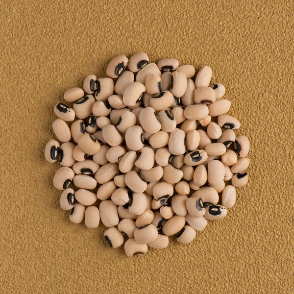Lingkaran kacang putih — Stok Foto