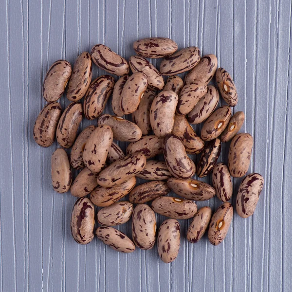 Kruh pinto fazole — Stock fotografie