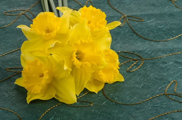 Jonquil flowers — Stock Photo, Image