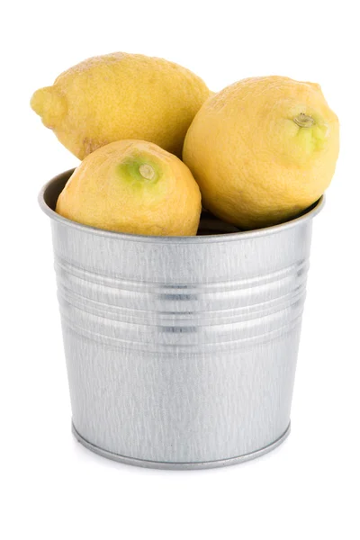 Secchio con limoni — Foto Stock