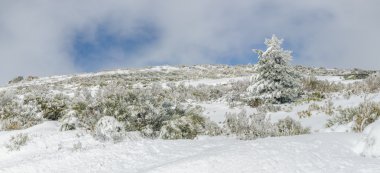serra da estrela peyzaj