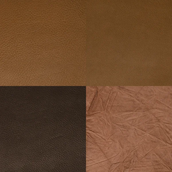 Conjunto de muestras de cuero marrón —  Fotos de Stock