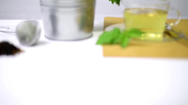 Tisane à base de plantes avec melissa dans une tasse en verre 