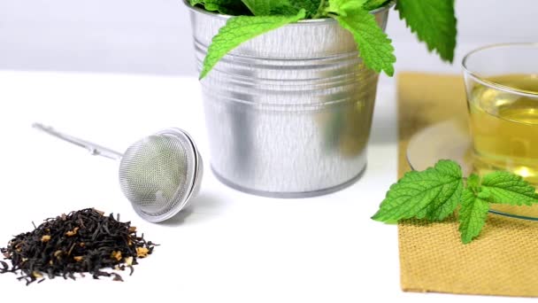 Tisane à base de plantes avec melissa dans une tasse en verre 