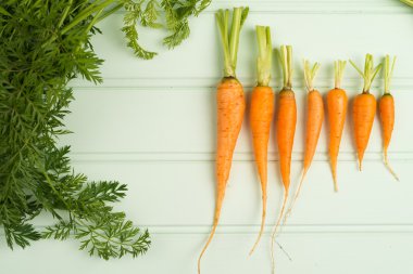 Tahta masadaki havuçlar