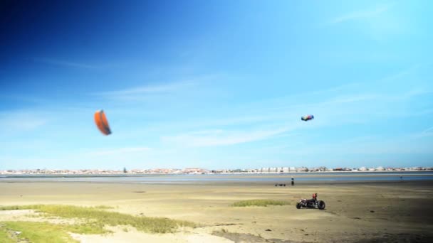 Kite buggies in azione — Video Stock