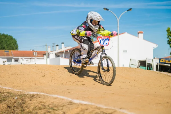 Catarina verissimo — Stockfoto