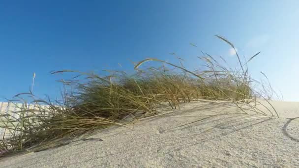 Dunas de areia — Vídeo de Stock