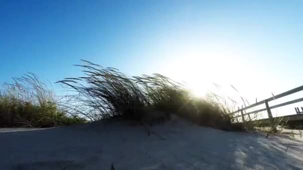 Dune di sabbia — Video Stock