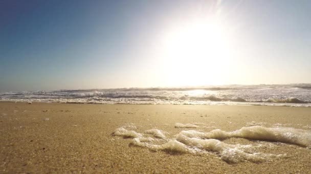 多风的下午，在海滩上 — 图库视频影像