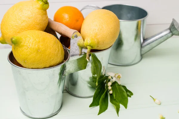 Limas sobre tabla de madera — Foto de Stock