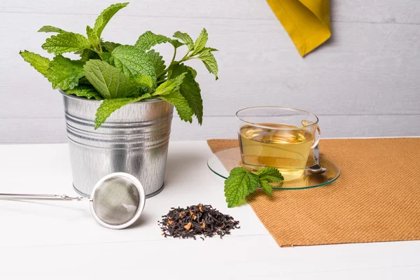 Melissa bir cam bardak bitkisel çay — Stok fotoğraf