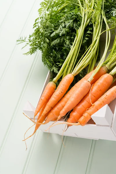 Morötter på träbord — Stockfoto