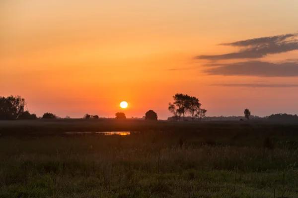 牧草地に沈む夕日 — ストック写真