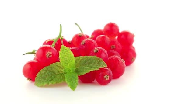 Currants red — Wideo stockowe