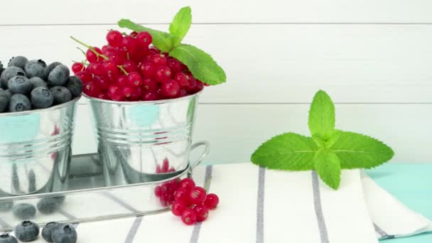 Plums, red currants and blueberries in small metal bucket — Stock Video