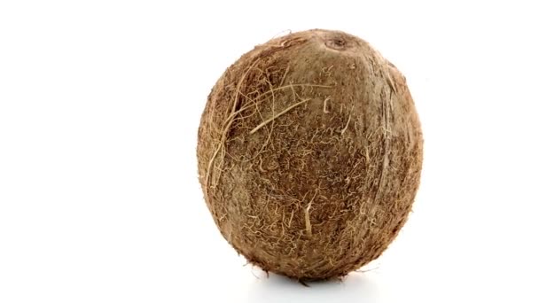 Kokosnötter — Stockvideo