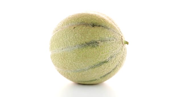 Melón de melón — Vídeo de stock