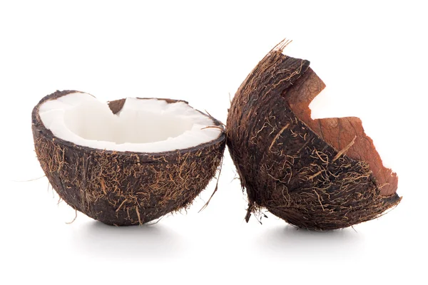 Coconut — Stock Photo, Image