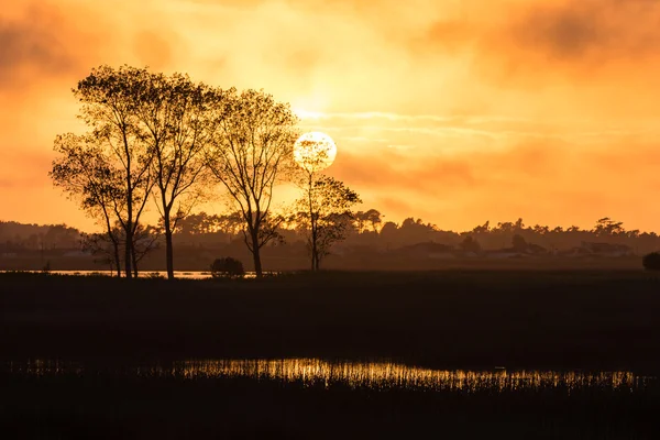 Теплий тихий захід сонця — стокове фото
