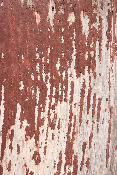 Wood old wall background — Stock Photo, Image