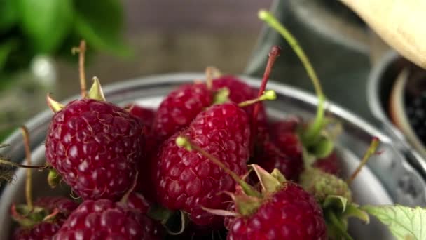 Smoothie mit frischen roten Früchten — Stockvideo