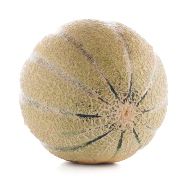 Melon miód spadziowy — Zdjęcie stockowe