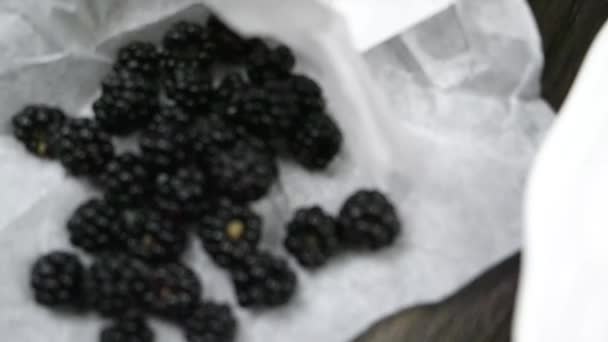 Panekuk dengan blackberry segar — Stok Video