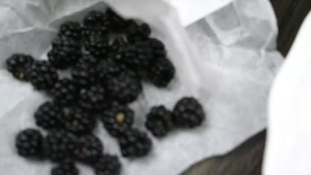 Pancakes with fresh blackberries — Stock Video