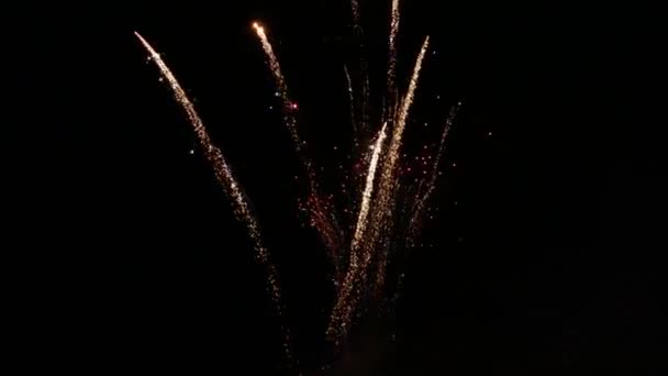 Belle exposition de feux d'artifice — Video