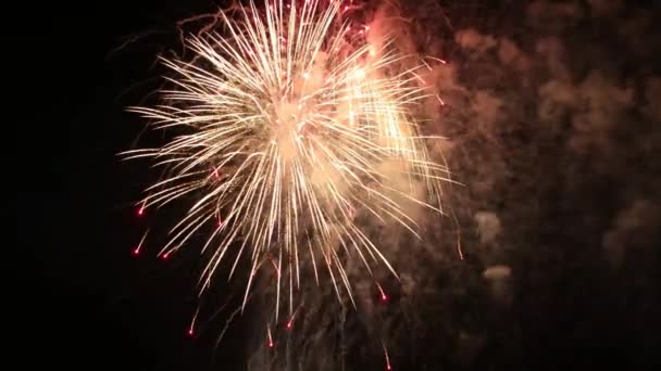 Gyönyörű tűzijáték — Stock videók