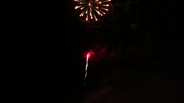 Belle exposition de feux d'artifice 