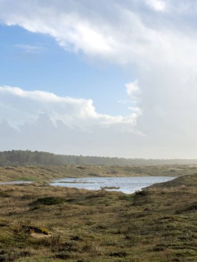 Kısmen bulutlu, parlak bir gökyüzünün altında sığ bir su kütlesini çevreleyen kıyı kum tepeleri ve alçak otların geniş bir manzarası. Manzara kuru, altın-kahverengi otlardan oluşan yuvarlanan tepeleri içerir. Yoğun bir orman çizgisi uzak beneat boyunca görülebilir.
