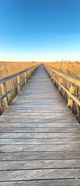 Parmaklıkları gün batımında uzun, kuru altın sazlıklar tarafından çerçevelenmiş, uzun, rustik ahşap bir tahta kaldırım. Alçak, ılık ışık, tahıl dokusunu ön plana çıkarıyor ve bu Portekiz sulak arazisinde barışçıl ve geniş bir hava yaratıyor..