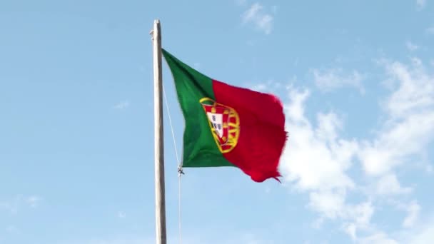 Portugiesische Flagge — Stockvideo