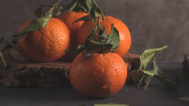 Yakın plan, dört canlı, ıslak mandalina (mandalina), taze yeşil yapraklar ve su damlacıkları, kaba bir odun parçasının üzerinde dinleniyor. Dramatik ışık, karamsar arka plana karşı meyvenin dokusunu vurgular.