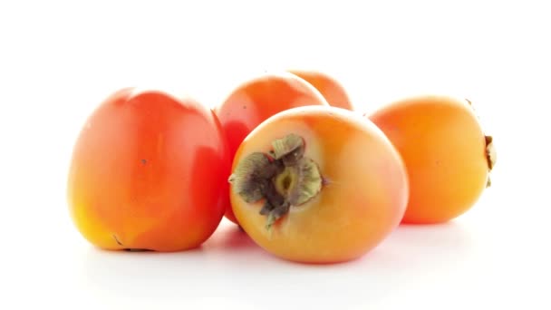 Red ripe persimmons — Stock Video