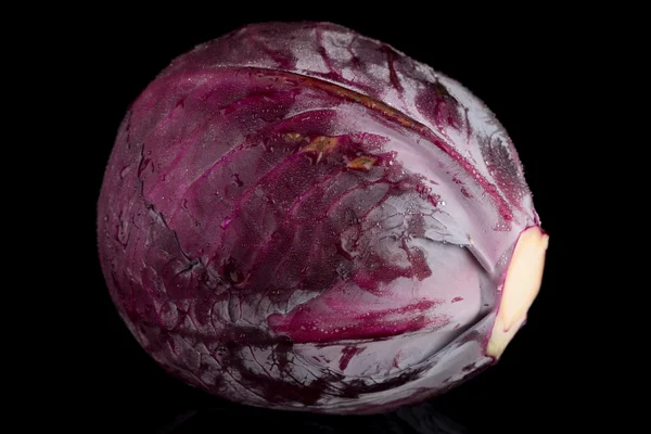 Rotkohl auf Schwarz — Stockfoto