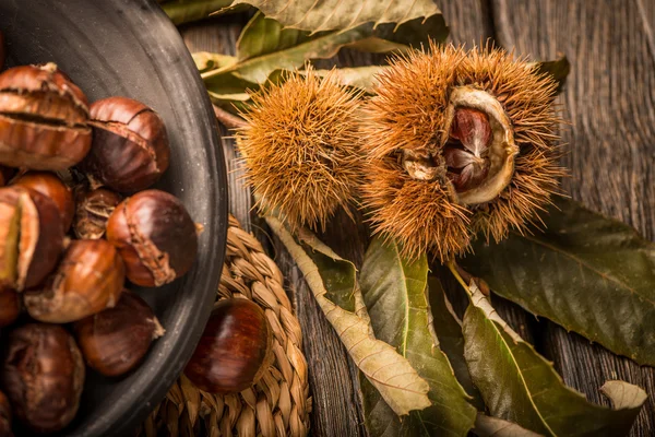 Roasted chestnuts and leaves — Stock Photo, Image