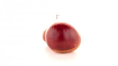 kestane kabuğu ile