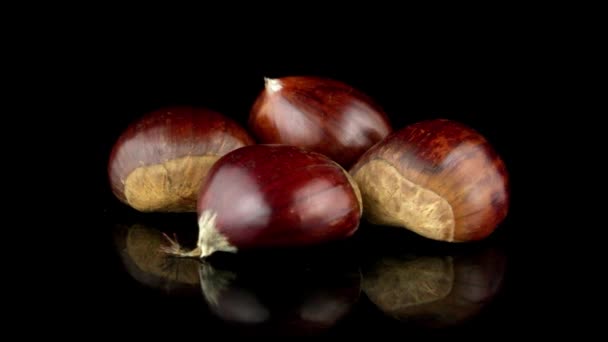 Chestnuts on a black reflective background — Stock Video