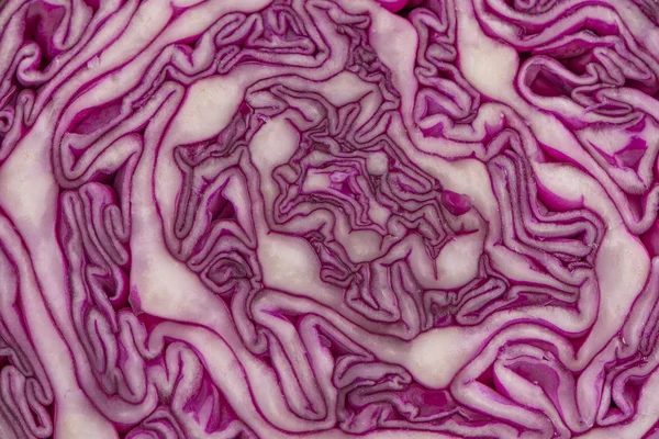 Закрыть вид на фиолетовую капусту — стоковое фото