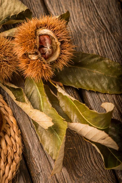 Castagne e foglie tostate — Foto Stock