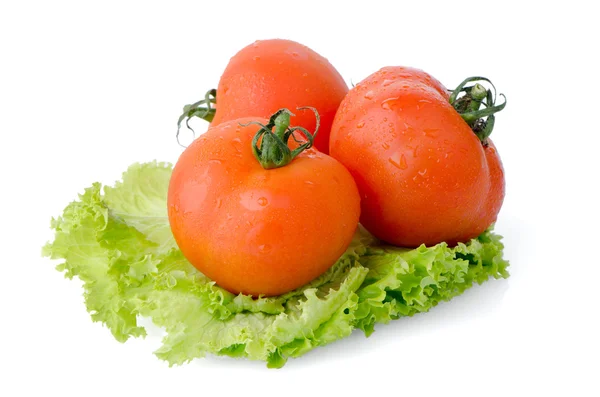 Primer plano de los tomates rojos — Foto de Stock