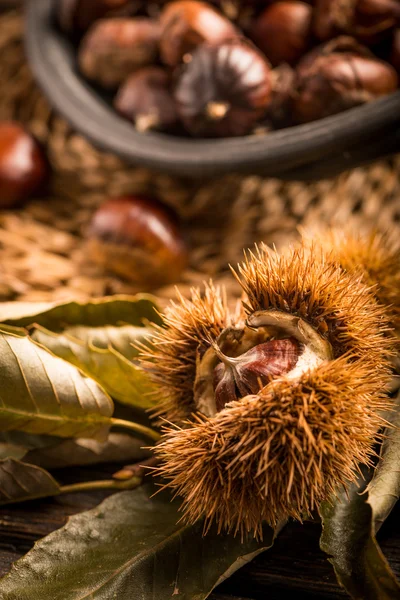 Geroosterde kastanjes en bladeren — Stockfoto