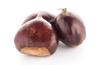 kestane kabuğu ile