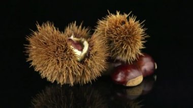 Siyah yansıtıcı arka planda kestaneler