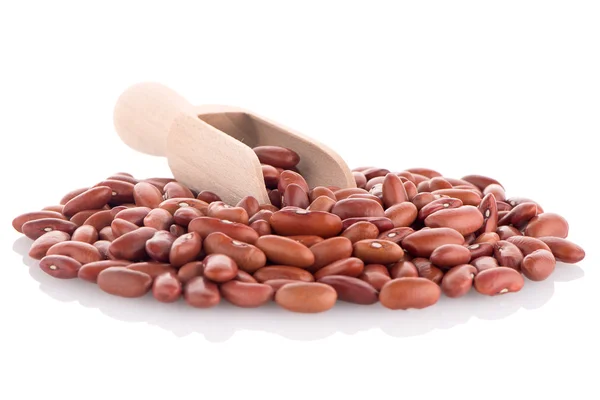 Closeup červené fazole — Stock fotografie
