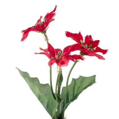 Kırmızı christmas dekorasyon